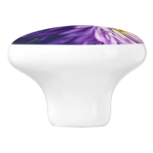 Tiny Bee auf Lila Daisy-Blume Nah Keramikknauf (Seitenansicht)