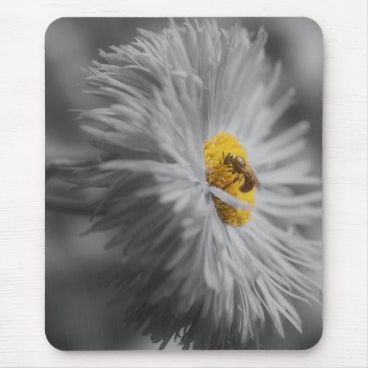 Tiny Bee on Blume Nah Schwarz-weiße Mousepad (Vorne)