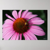 Tiny Bee Poster (Vorne)