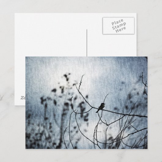 Tiny Bird Silhouette Postcard Postkarte (Vorne/Hinten)