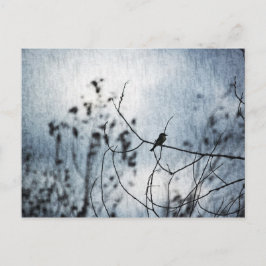 Tiny Bird Silhouette Postcard Postkarte
