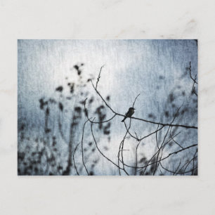 Tiny Bird Silhouette Postcard Postkarte
