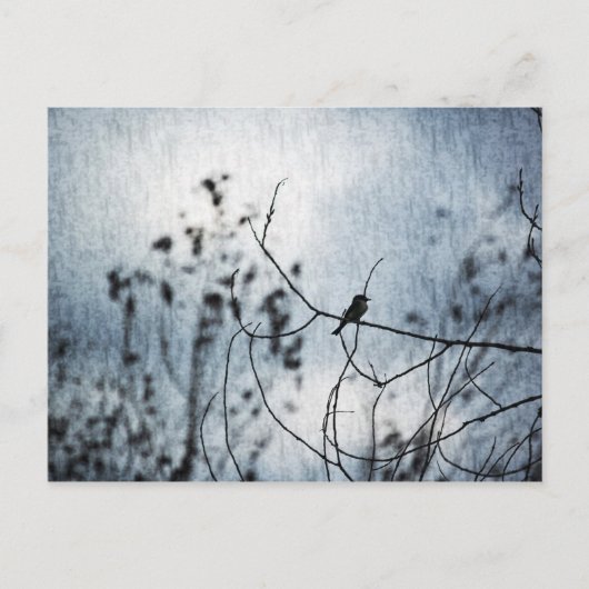 Tiny Bird Silhouette Postcard Postkarte (Vorderseite)