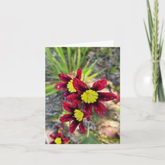 Tiny Blooms Dankeskarte (Vorderseite)