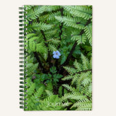 Tiny Blue Blume und Ostrich Fern Floral Notizblock (Vorderseite)