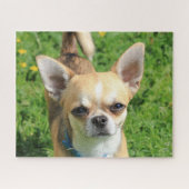 Tiny Chihuahua Puppy Dog Puzzle (Horizontal)