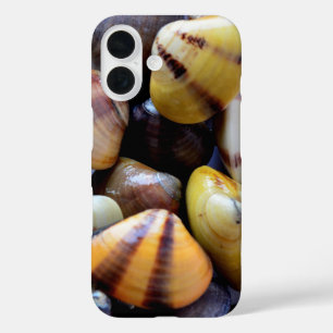 Tiny Colorful Clam Muscheln iPhone 16 Hülle