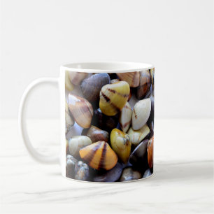Tiny Colorful Clam Muscheln Tasse