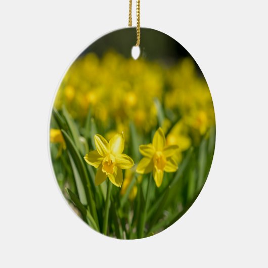 Tiny Daffodils Keramik Ornament (Rechts)