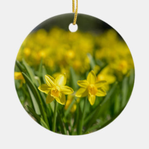 Tiny Daffodils Keramik Ornament