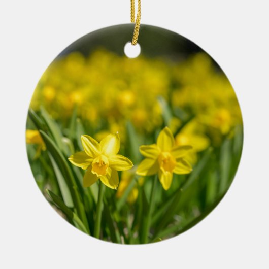Tiny Daffodils Keramik Ornament (Vorne)
