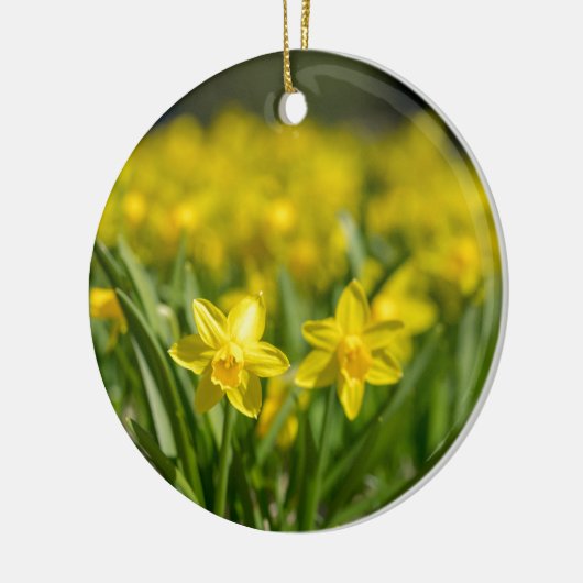 Tiny Daffodils Keramik Ornament (Links)