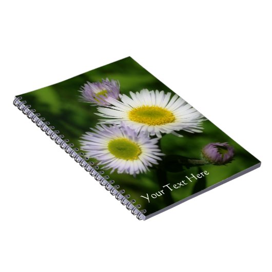 Tiny Daisies Fleabane Blume Nature Notizblock (Rechte Seite)