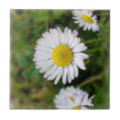 Tiny Daisies Fliese (Vorderseite)