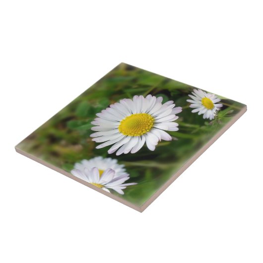 Tiny Daisies Fliese (Seite)