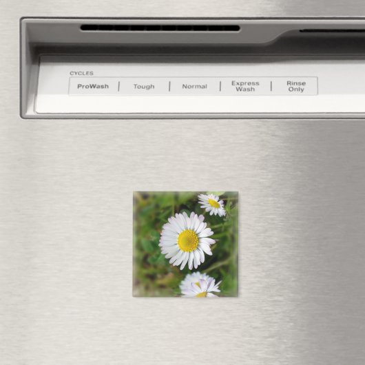 Tiny Daisies Magnet (In Situ (Geschirrspüler))