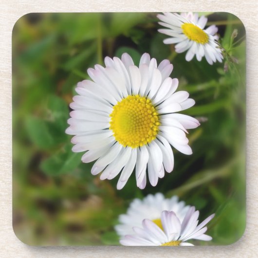 Tiny Daisies Untersetzer (Vorderseite)