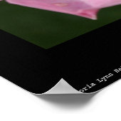 Tiny Dancer - Ballerina Rose Fotografy Poster (Ecke)