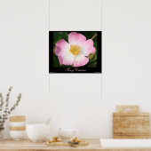 Tiny Dancer - Ballerina Rose Fotografy Poster (Küche)