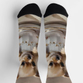 Tiny Delight: Chihuahua Puppy in einem Teacup Socken (Oben)