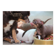 Tiny Dog Family zum Abendessen