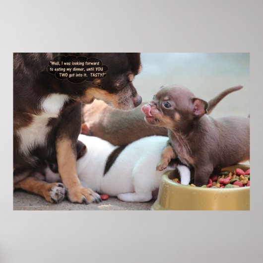 Tiny Dog Family zum Abendessen Poster (Vorne)
