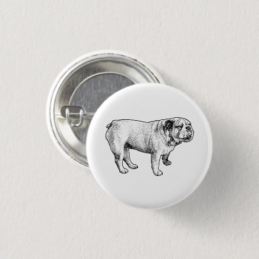 tiny dot joy, bulldog button (Vorne & Hinten)