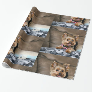 Tiny Dynamo Geschenkpapier