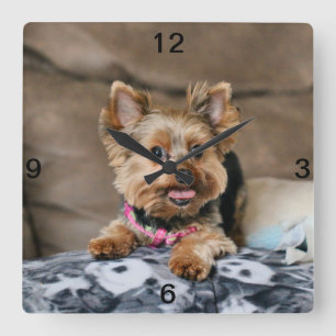 Tiny dynamo quadratische wanduhr