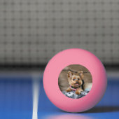 Tiny Dynamo Tennis Balls Tischtennisball (Netto)