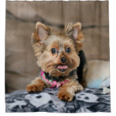 Tiny Dynao Duschvorhang (Vorderseite)