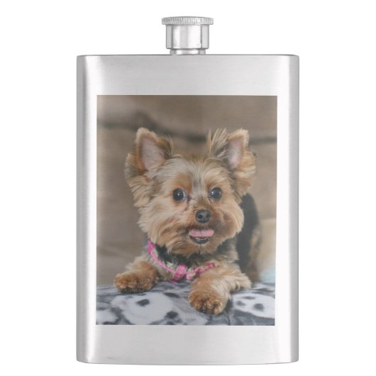 Tiny Dynao Flachmann (Vorderseite)