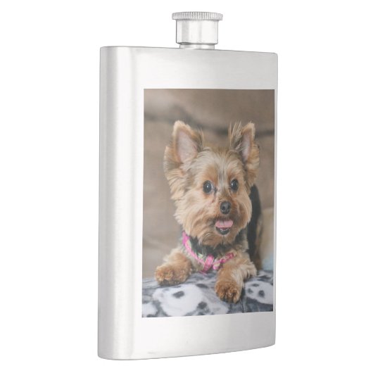 Tiny Dynao Flachmann (Rechts)