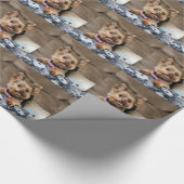 Tiny Dynao Geschenkpapier (Ecke)