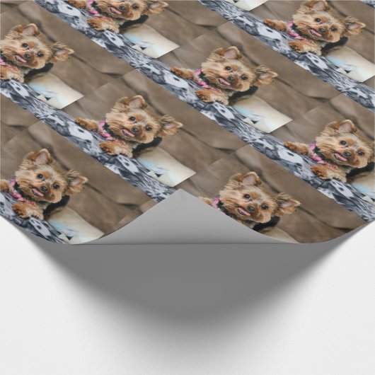 Tiny Dynao Geschenkpapier (Ecke)