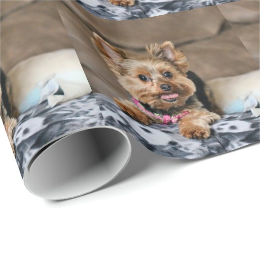 Tiny Dynao Geschenkpapier (Rolleneckpunkt)