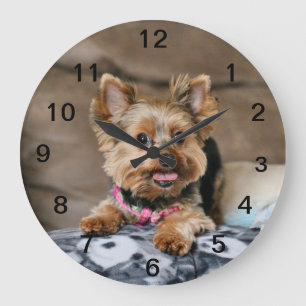 Tiny Dynao Große Wanduhr