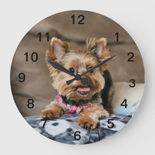 Tiny Dynao Große Wanduhr (Vorderseite)