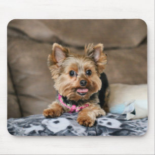 Tiny Dynao Mousepad