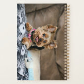 Tiny Dynao Planer (Rückseite)