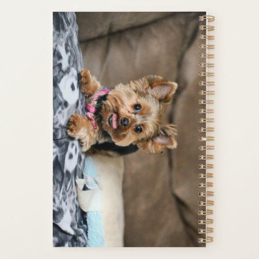 Tiny Dynao Planer (Rückseite)