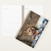 Tiny Dynao Planer (Anzeige)