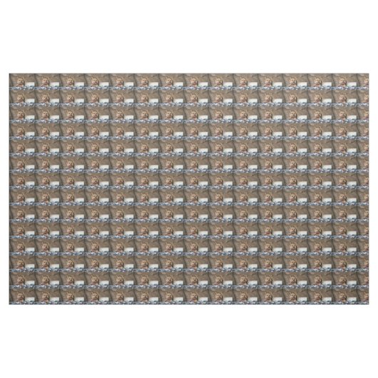 Tiny Dynao Stoff (Yard (91,4 cm))