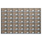 Tiny Dynao Stoff (Fat Quarter (45,7 x 55,9 cm))