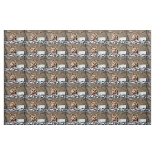 Tiny Dynao Stoff (Fat Quarter (45,7 x 55,9 cm))