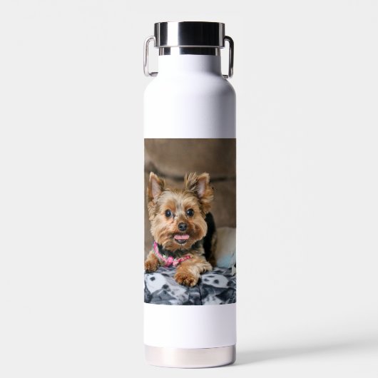 Tiny Dynao Trinkflasche (Vorne)