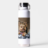 Tiny Dynao Trinkflasche (Rückseite)