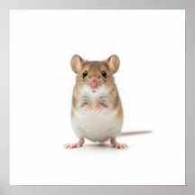 Tiny Field Mouse Art