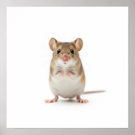 Tiny Field Mouse Art Poster