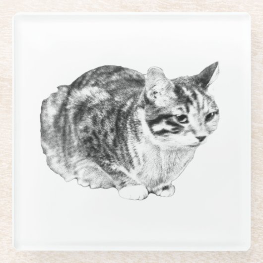 Tiny Gallery: Tabby on Cushion Glasuntersetzer (Vorderseite)